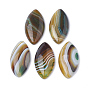 Cabochons naturels en agate brésilienne, teint, oeil de cheval