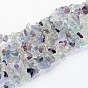 Gemstone Beads Strands, Natural Fluorite, Chips
