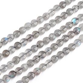 Natural Labradorite Beads Strands, Flat Round, Faceted