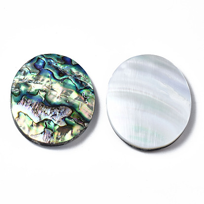 Natural Abalone Shell/Paua Shell Cabochons, with Freshwater Shell, Oval