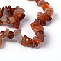 Natural Carnelian Chips Beads Strands, Dyed