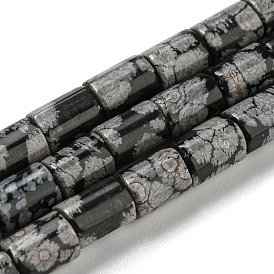 Natural Snowflake Obsidian Stone Beads Strands, Column