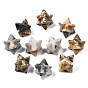 Natural Crazy Agate Beads, No Hole/Undrilled, Merkaba Star