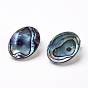 Natural Abalone Shell/Paua ShellOval Clip-on Earrings, with Brass Findings, Platinum