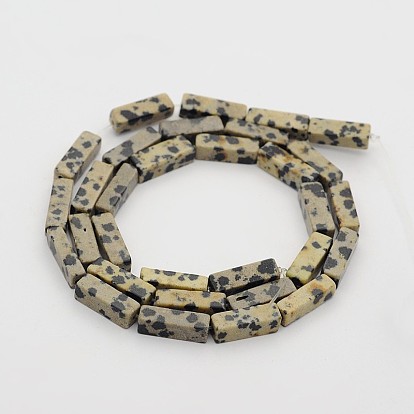 Jaspe dalmatien naturelle perles cubiques brins, 13x4x4mm, Trou: 1mm, Environ 31 pcs/chapelet, 16.1 pouce