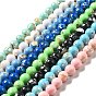 Synthetic Turquoise and Sea Shell Assembled Beads Strands, Dyed, Round