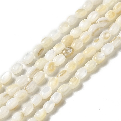 Cuentas de concha de perla natural hebras, oval