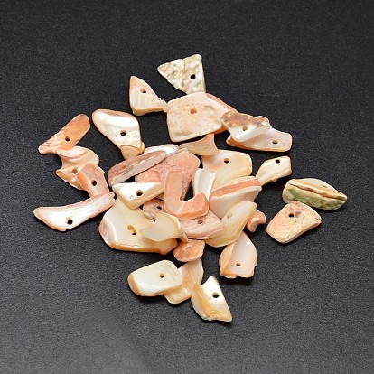 Perles de chips de pépites de coquillages naturels teints, 9~23x7~12mm, Trou: 1mm, environ1150 pcs / 500 g