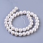 Natural Cultured Freshwater PearlBeads Strands, Round, 10~11mm, Hole: 0.8mm, about 42pcs/strand, 15.7 inch