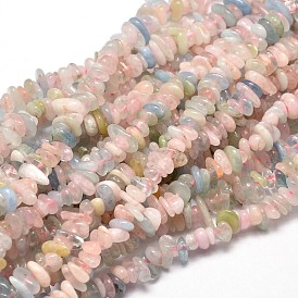 Natural Morganite Chip Beads Strands, 5~14x4~10mm, Hole: 1mm, about 15.5 inch ~16.1 inch