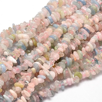 Morganite naturelle perles de puce brins, 5~14x4~10mm, Trou: 1mm, environ 15.5 pouces ~16.1 pouces