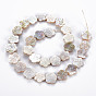 Electroplated Natural Freshwater Shell Beads Strands, Flower