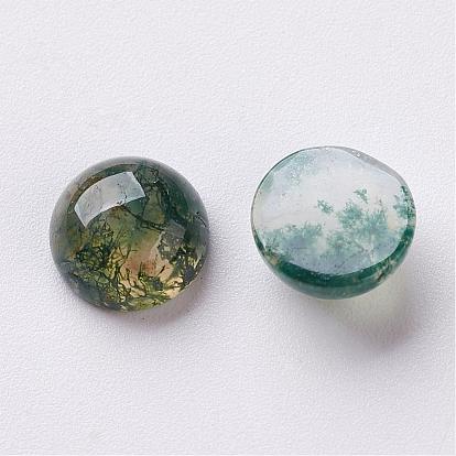 Natural Moss Agate Cabochons, Half Round/Dome, Sea Green