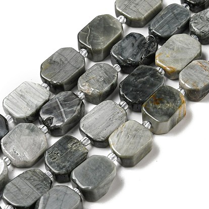 Natural Eagle Eye Stone Beads Strands, with Seed Beads, Faceted Rectangle