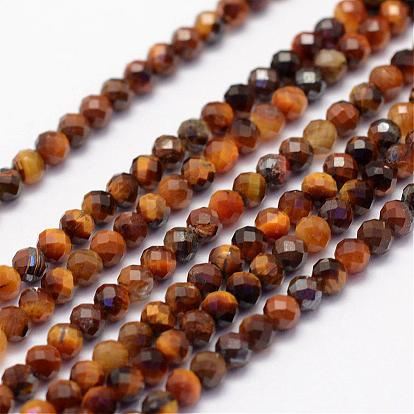 Natural Tiger Eye Beads Strands, Faceted, Round