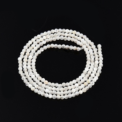 Natural White Shell Beads Strands, Round