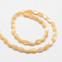 Natural Sea Shell Oval Bead Strands, 9x6mm, Hole: 1mm, about 47pcs/strand, 15.9 inch