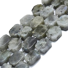 Natural Labradorite Beads Strands, Rectangle