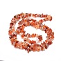 Natural South Red Agate Chips Bead Strands