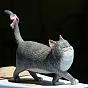 Креативные позы из смолы, фигурка кошки, украшение для выставки, моделирование животных, для домашнего офиса в машине