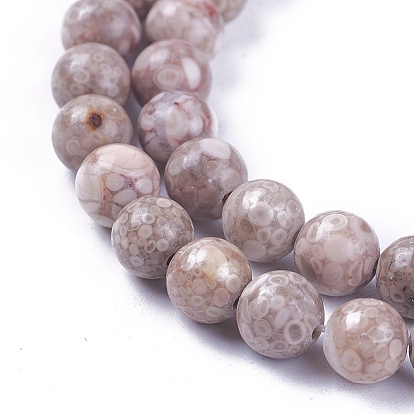 Brins de perles en pierre naturelle maifanite / maifan, teint, ronde