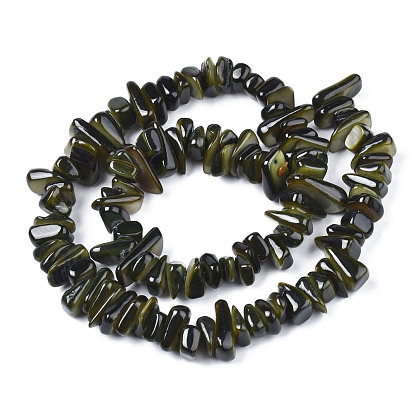Natural Trochid Shell/Trochus Shell Beads Strands, Dyed, Chips