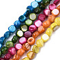 Natural Freshwater Shell Beads Strands, Dyed, Nuggets
