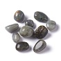 Perles naturelles de labradorite, pierre tombée, pierres de guérison pour l'équilibrage des chakras, cristal thérapie, méditation, reiki, gemmes de remplissage de vase, pas de trous / non percés, nuggets