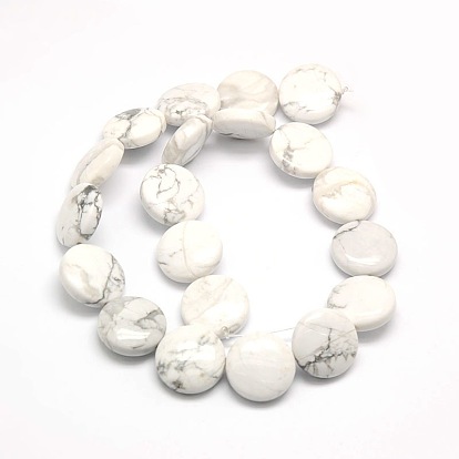 Natural Flat Round Crackle Howlite Beads Strands, 20x7~9mm, Hole: 1mm, about 20pcs/strand, 15.74 inch