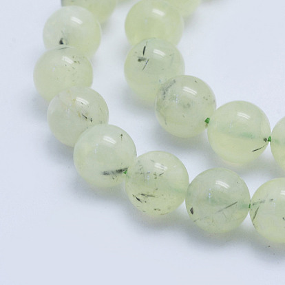 Natural Prehnite Beads Strands, Round, Grade A-