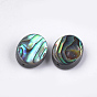 Abalone Shell/Paua Shell Beads, Oval
