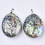 Double-Sided Natural Abalone Shell/Paua Shell Pendants, with Platinum Plated Random Brass Pendant Bails, Oval