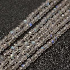 Natural Labradorite Beads Strands, Faceted, Round