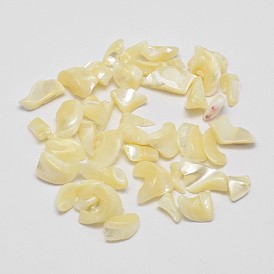 No Hole Natural Trochid Shell/Trochus Shell Chip Beads, Shell Shards, 5~12x3~5mm