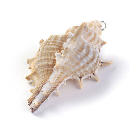 Spiral Shell Pendants, with Alloy Finding
