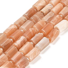 Natural Sunstone Beads Strands, with Seed Beads, Faceted Column