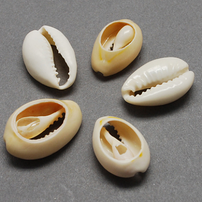 Perles de coquillage cauri naturelles, ovale, pas de trous / non percés