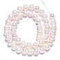 Natural Cultured Freshwater Pearl Beads Strands, Potato