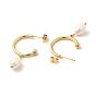 Natural Pearl Dangle Stud Earrings, Ion Plating(IP)304 Stainless Steel Half Hoop Earrings for Women