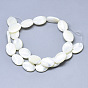Natural Trochid Shell/Trochus Shell Beads, Oval