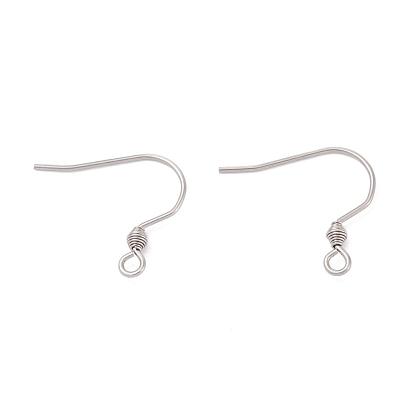 316 Surgical Stainless Steel Earring Hooks, Ear Wire, with Horizontal Loop