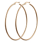 304 Stainless Steel Hoop Earrings, Huggie Hoop Earrings for Women, Round Ring