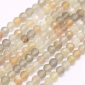 Brins de perles multi-pierres de lune naturelles, teint, facette, ronde