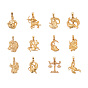 Ion Plating(IP) 304 Stainless Steel Pendants, Textured, 12 Constellations/Zodiac Signs