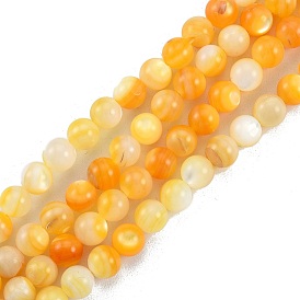Brins de perles de coquillage jaune doré naturel, ronde