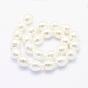 Shell Pearl Beads Strands, Oval