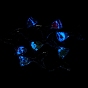 Pendentifs lumineux en résine translucide, une feuille d'or, charme de queue de poisson phosphorescent