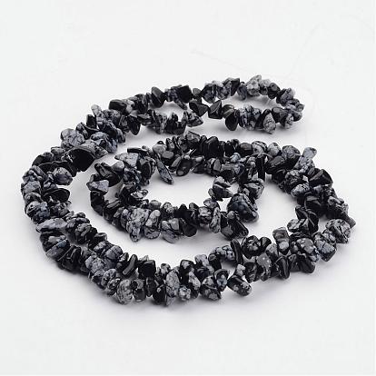 Natural Snowflake Obsidian Beads Strands, Chip