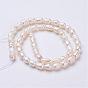 Natural Cultured Freshwater Pearl Beads Strands, Oval