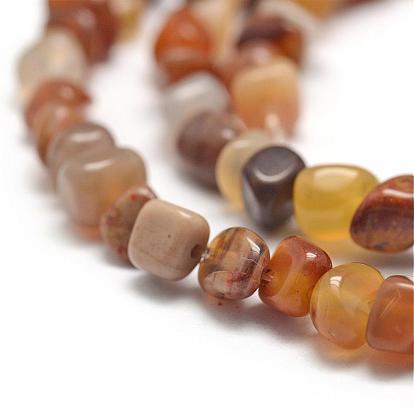 Natural Petrified Wood Beads Strands, Nuggets